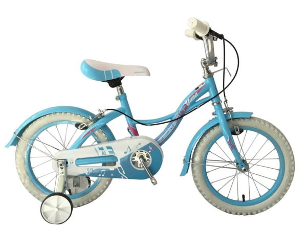 Baby Blue Kids Bike